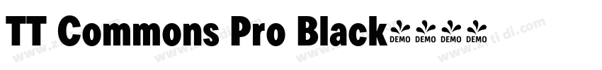 TT Commons Pro Black字体转换
